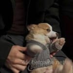 Avatar of Zubair Khalid